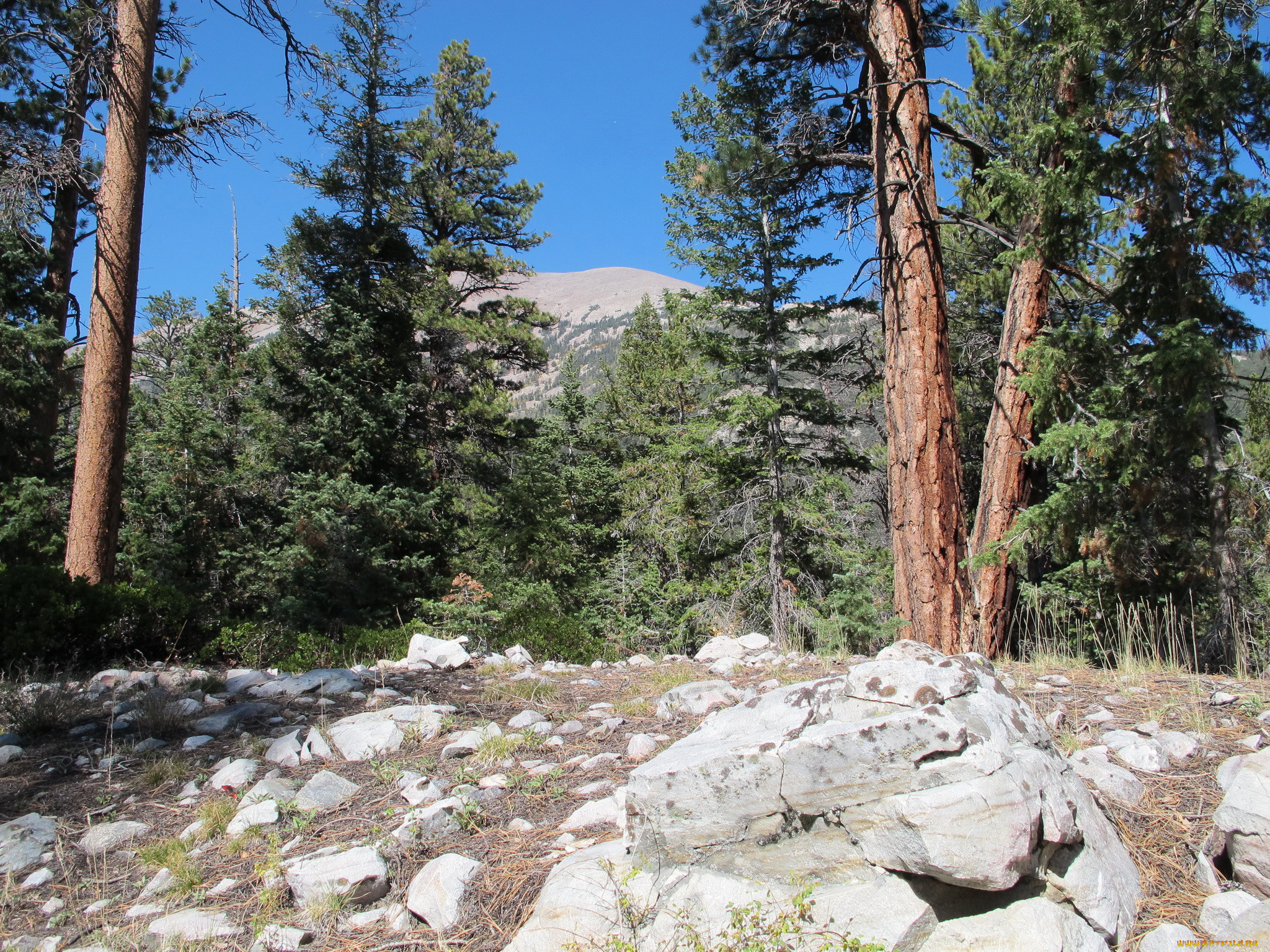 great, basin, national, park, , , , 